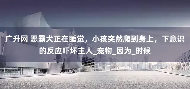 广升网 恶霸犬正在睡觉，小孩突然爬到身上，下意识的反应吓坏主人_宠物_因为_时候